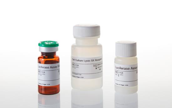 Promega 荧光素酶检测系统 Luciferase Assay E1500