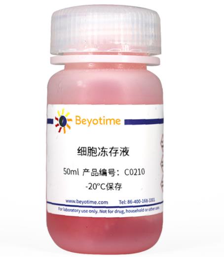 碧云天 细胞冻存液 50ml