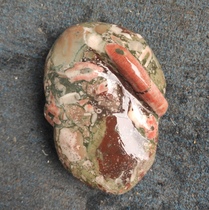 Ningqiang Seven colorful coral jade coral long red worm small pendulum with sea lily chiishi bio-fossil polished desk L