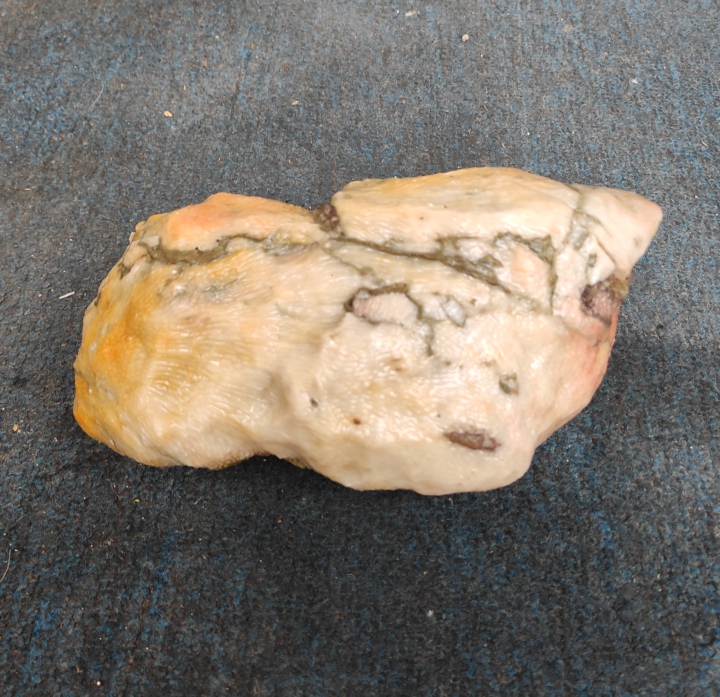 Ning Qiang Coral Fossil Jade Powder Yellow White Natural Wonder Stone Pendulum Pieces Snowflake can be carved to admire ancient biogenic stone L