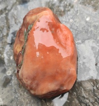 Ning Qianqi Stone Coral Jade Red Huang White Natural to play the hand to play piece with finger palm grain ancient materialite stone raw stone