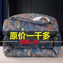 Duvet 95 white goose down quilt winter thickened warm quilt core duck down quilt quilt quilt double 10kg spring and autumn quilt