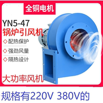 Small boiler blower 220V high temperature powerful exhaust fan 380V industrial dust discharge centrifuge exhaust fan