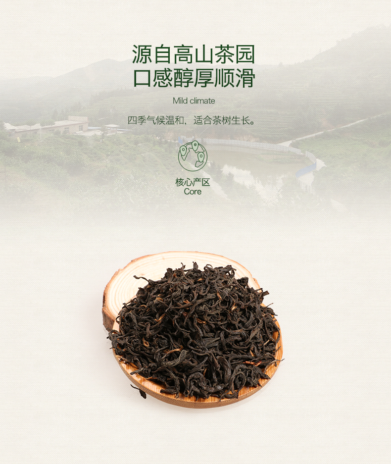 红茶浓香型茶叶礼盒装100g*2盒