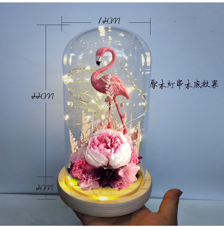 Hoa vĩnh cửu hoa thủy tinh đặc biệt trang trí bằng thủy tinh ins rung động hoa khô đầy sao ánh sáng cơ sở Lễ hội Qixi phụ kiện trang trí kệ tivi