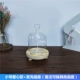 Phòng khách để bàn trang trí hoa vĩnh cửu phủ kính thủy tinh Làm bằng tay đất sét thủ công bụi che ánh sáng ban đêm đồ dcor chụp ảnh