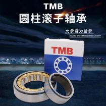 Tianma Cylindrical Roller Bearings N NJ NU NUP 2203 2204 2205 2206 2207 2217 EM