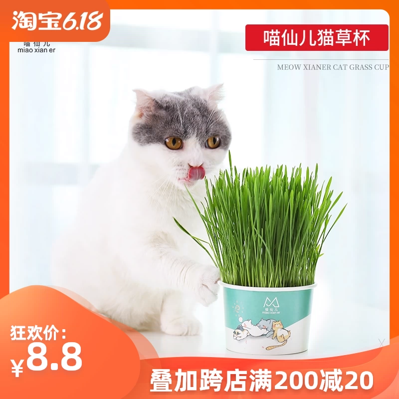 Hạt giống cỏ Cat Hydroponic Hạt giống trồng cây trồng trong chậu Thuốc làm rụng lông Cupball Cat Grass Cat Snacks - Đồ ăn nhẹ cho mèo