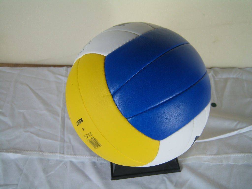 Ballon de volley - Ref 2009499 Image 8