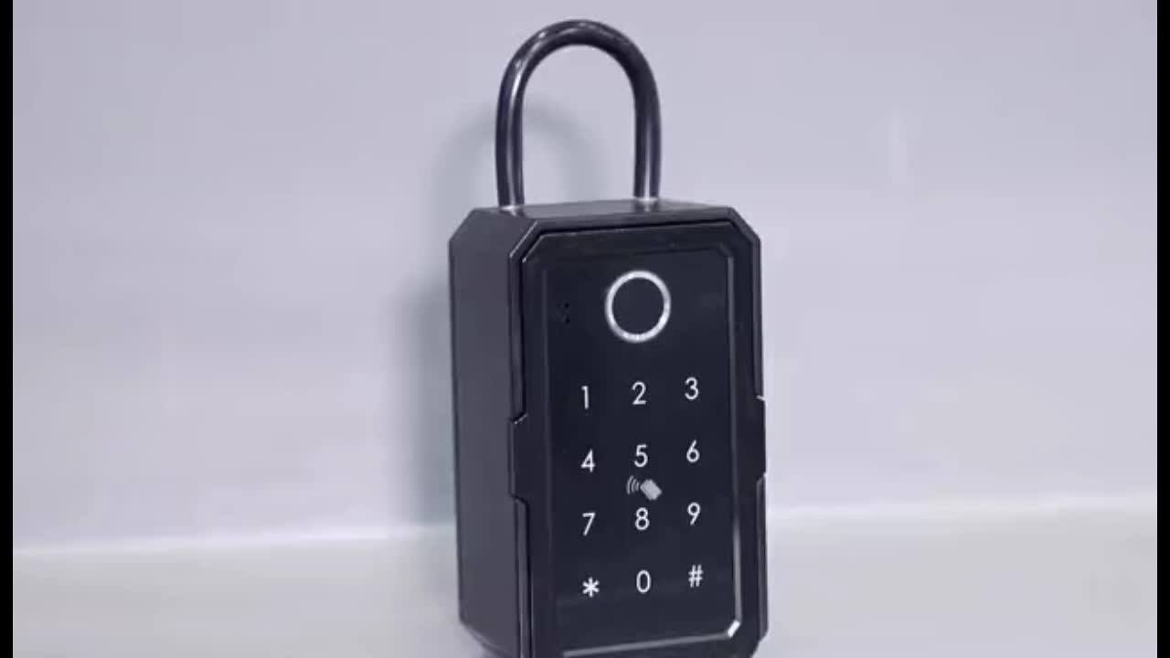 Safe Key Storage Box Biometric Electronic Digital Wifi Ttlock Tuya