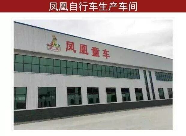 凤凰儿童车店
