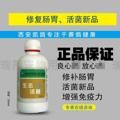 Kegeon Eco Live Bacteria Dove Supplies Inhibit Pigeon Parasite Propagation Regulation Gastrointestinal Function