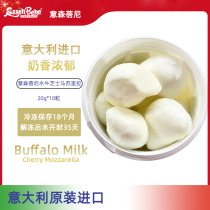 Buffalo Milk Mozzarella Italian imported Buffalo Mozzarella soft cheese snowball