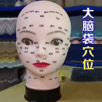 Beauty practice Massage head Dummy head Soft bald doll model head Learning head model