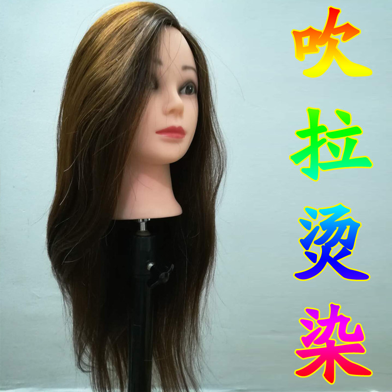Haircut Model Head Wig Human Head Model Practice Disc Hair Bogus Human Head Makeup Emulation Hair Doll Head Choreography Model Head