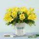 Phòng khách bàn ăn mô phỏng hoa đặt trang trí hoa giả bàn cà phê trang trí nội thất trang trí hoa nhựa nhỏ trong chậu khô bó hoa - Hoa nhân tạo / Cây / Trái cây