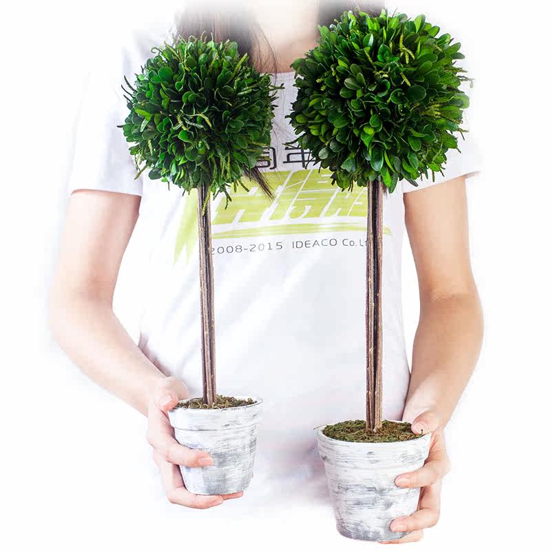 ����ɻ��ڼ�