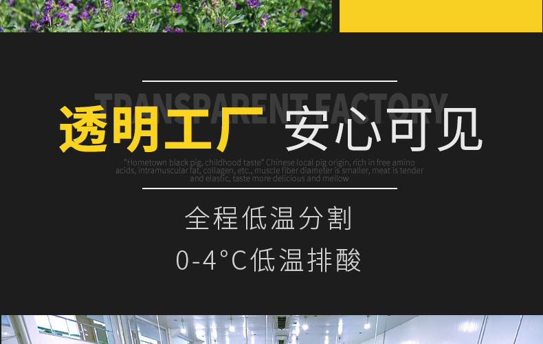 色泽洁白 醇香细腻 国家重点龙头企业 300g 膳博士 食用黑猪油 券后24.8元包邮 买手党-买手聚集的地方