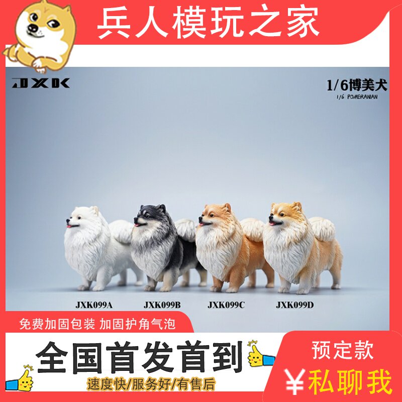 JXK 1 6 JXK099 Pomeranian Pomeranian