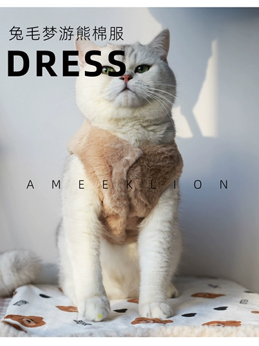 Мао -дюйский медвежь