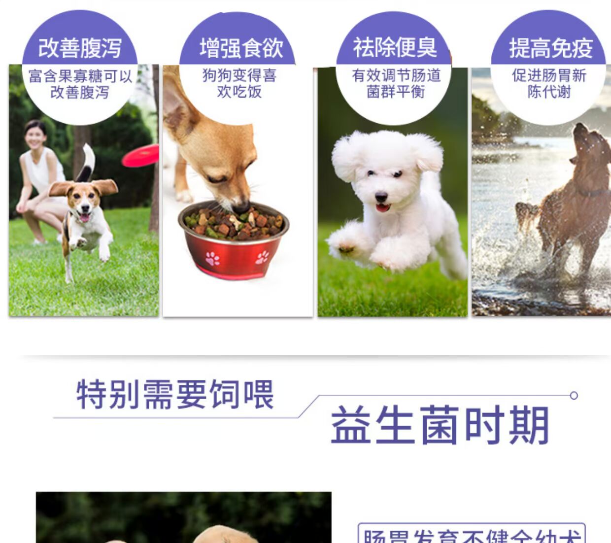 Chó con probiotic mèo điều hòa dạ dày vật nuôi thú cưng lớn men vi sinh nôn mửa tiêu chảy táo bón - Cat / Dog Health bổ sung 	sữa cho mèo con 2 tháng tuổi
