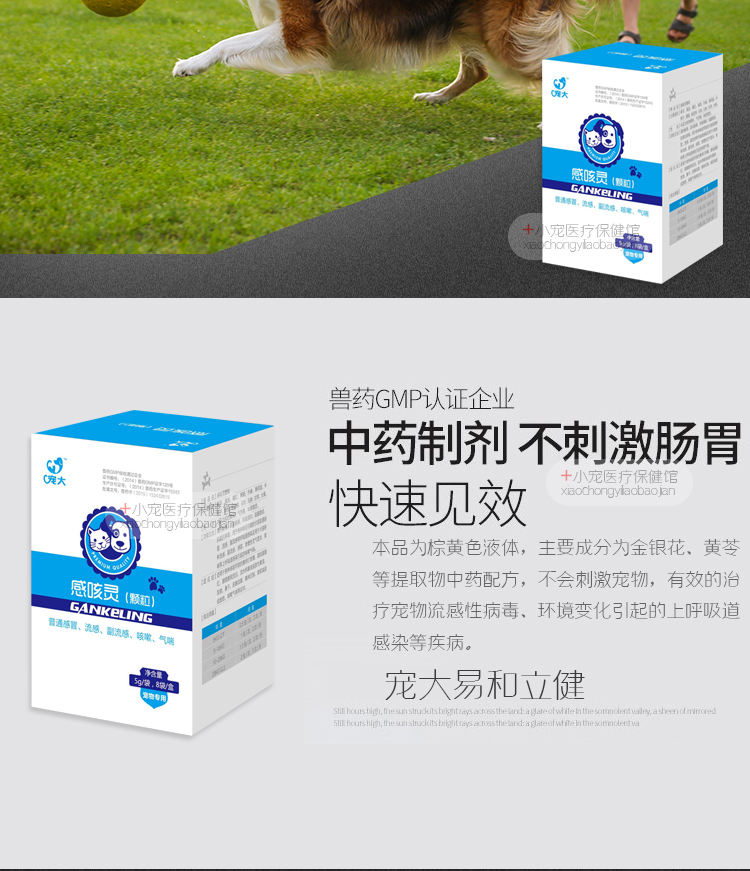 Pet lớn ho cảm hứng thuốc chó mèo ho chảy nước mũi thú cưng hắt hơi chó con hen suyễn nghẹt mũi - Cat / Dog Health bổ sung sữa cho chó mẹ và chó con