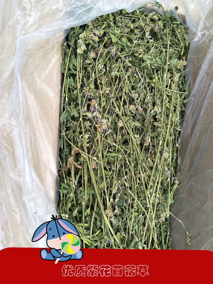 Purple Flower Clover Grass Rabbit Grass Rabbit Grain Rabbit Dry Grass Dragon Cat Eat the pasta feed guinea pig Dutch pig grain