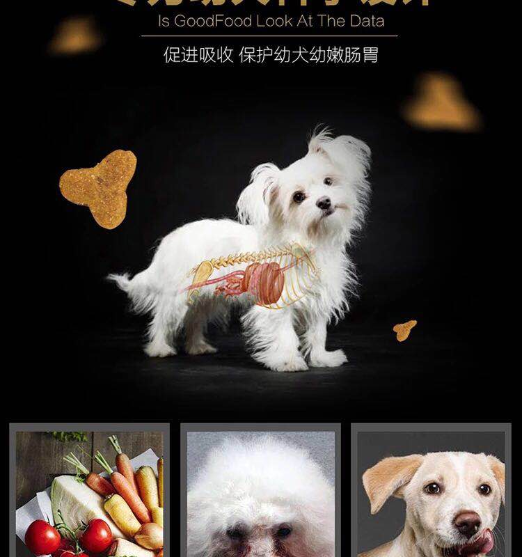 Li mặc thức ăn cho chó gà bibimbap chó con thức ăn 500g gấu bông lông vàng huskies labrador đặc biệt năm pounds - Chó Staples do an cho cho