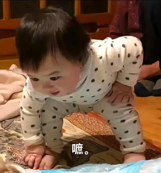 旅星
