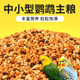 Parrot bird food tiger skin black phoenix peony bird food shelled yellow millet ຫ້າສີ millet ເມັດຂະຫນາດນ້ອຍປະສົມອາຫານພິເສດ