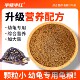 ອາຫານເຕົ່າ, ອາຫານເຕົ່າ, ເຕົ່າບຣາຊິນ, ເຕົ່າຈີນ, ເຕົ່າງູ, ອາຫານເຕົ່າທົ່ວໄປ, ອາຫານເຕົ່າເຕັມລະດັບ, ອາຫານພິເສດສໍາລັບເຕົ່າຫນຸ່ມ