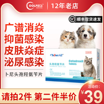 Buni pet cephalosporin anti-inflammatory drugs dog mites purulent skin disease urinary tract infection Cat Moss skin disease anti-inflammatory drugs