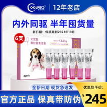 Big favorite puppies cats in vivo and in vitro dogs and cats with in vitro anthelmintics drops to remove 6 fleas