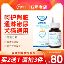 Liturgy Kitty Care Kidney Stones Urinary away from urethral infection Cat Dog Health Products Whole Bottle 60 Grain