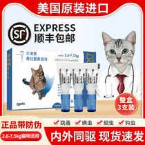 Big favorite in vitro deworming cat drops cat deworming in vivo and in vitro to remove flea ear mites cat Anthelmintics