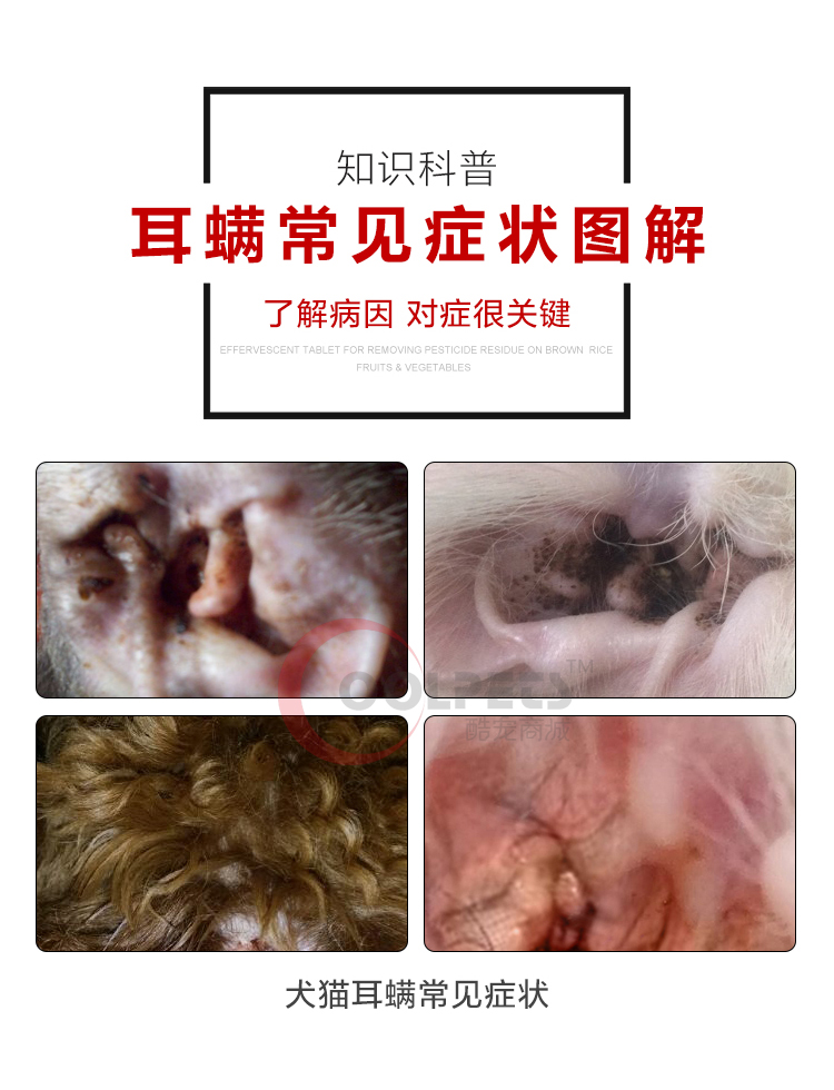Pháp chó mèo tai nhỏ thú cưng rửa tai tai nhỏ tai điều trị mèo loại bỏ tai đờm thuốc tai da tinh thần - Cat / Dog Beauty & Cleaning Supplies lược chải lông mèo