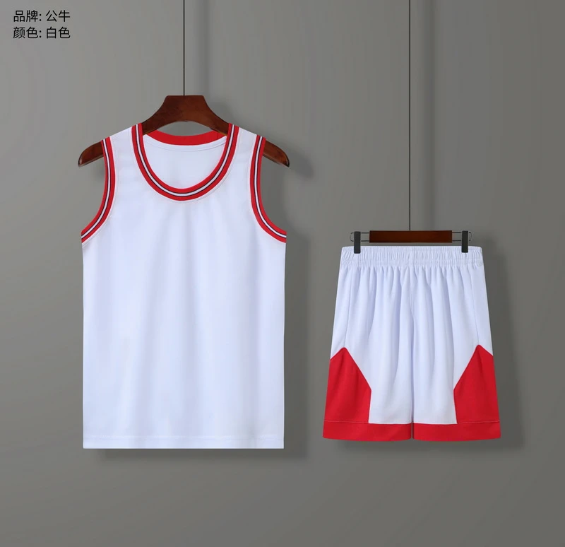 公牛-3.webp