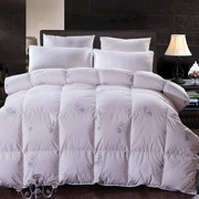 Cao cấp chính hãng 95% vịt trắng xuống duvet core Chất liệu cotton satin dày ấm áp chăn bông mùa đông