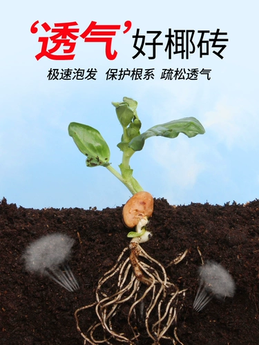 Кокосовое кирпичное питание почва Универсальное кокосовое кокосовое кокосовое отруби с низким чисткой соли бесплатная доставка ручка кирпич