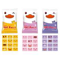 2802 Hemerocallis baby warm patch winter self-heating cartoon warm patch cute warm body patch for female students to keep warm for 12 hours