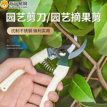 Gardening scissors home pruning scissors fruit tree and flower scissors hair cutting scissors kitchen edible scissors 824