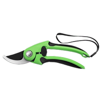 Horticultural Scissors Fruit Trees Prunes Prunes Cut Flowers floral clippings Pruning Garden Tools Flowers Cut of grapes prunes 1648