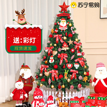 New high-end Christmas tree decorations package Christmas home DIY luminous large ornaments 2134