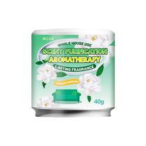 Elderly room odor removal artifact urine odor remover deodorizing fresh aromatherapy indoor air purification 3360