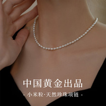 China Gold Precious Shang Silver Natural Freshwater Pearl Necklace 2024 New Burst Lady Millet Pearl 1693