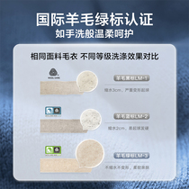 45]Little Swan Washing Machine Xiaowumei 2 0 Household 10KG Drum Washing Machine TG100S83PRO