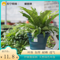 Alice 532 large color resin flowerpot creative embossed balcony indoor and outdoor large diameter European plastic