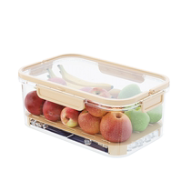 Fresh box portable outdoor camping picnic large capacity mobile small refrigerator portable storage fruit lunch box 2479