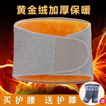 Plus velvet protective belt thickened gold velvet spring and summer warm waist and stomach belt to protect belly and cold for men and women 2400