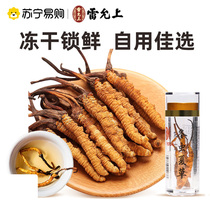 986 Lei Yunshang Cordyceps sinensis 50 1g Cordyceps dorigine tibétaine nourrissante Cordyceps frais lyophilisé officiel